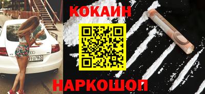 спайс Кингисепп