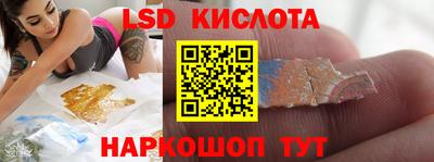 спайс Кингисепп