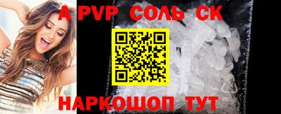 спайс Кингисепп