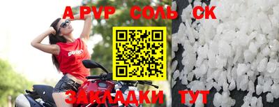 спайс Кингисепп