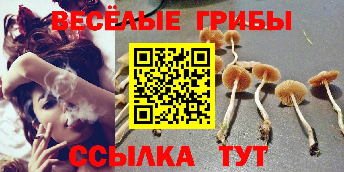 Псилоцибиновые грибы ЛСД Геленджик